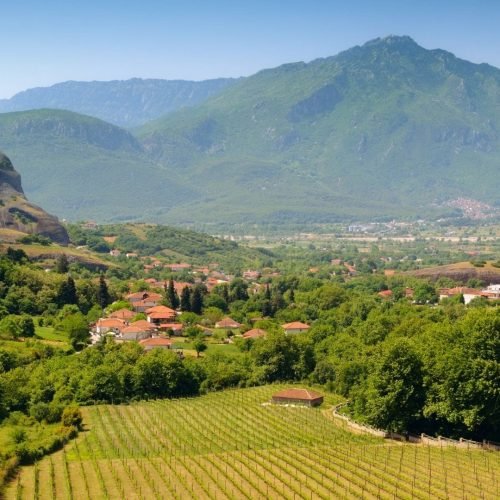 Green agricultural landscape in Thessaly with vineyards and mountains in the background